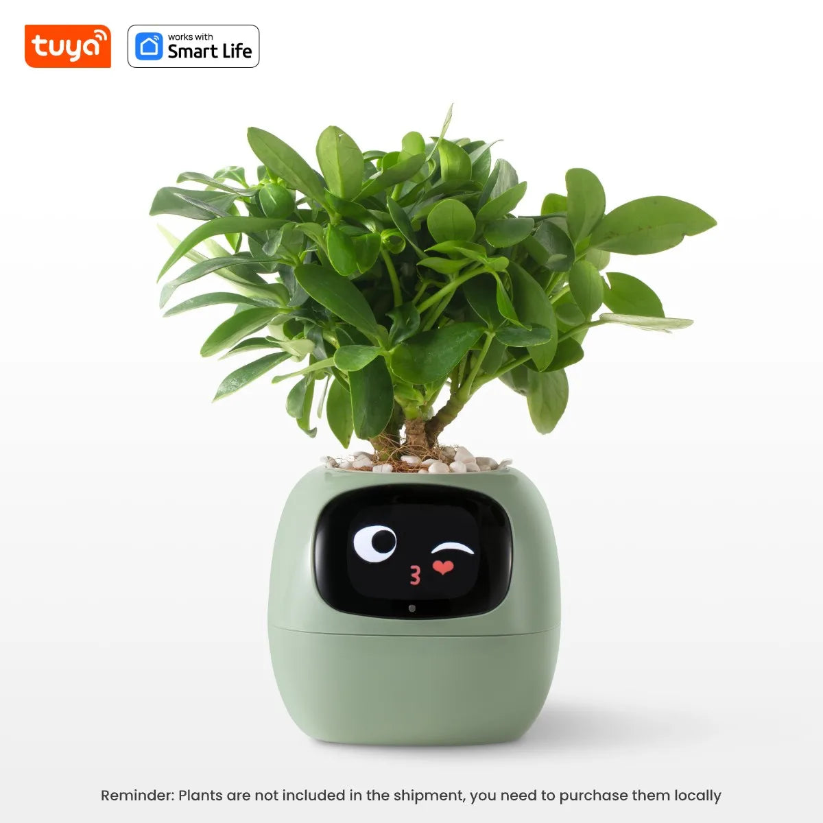 Tuya Ivy Smart Planter,Endless Fun over 49 Rich Expressions,7 Smart Sensors,Ai Chips Make Raising Plants Easy and Fun